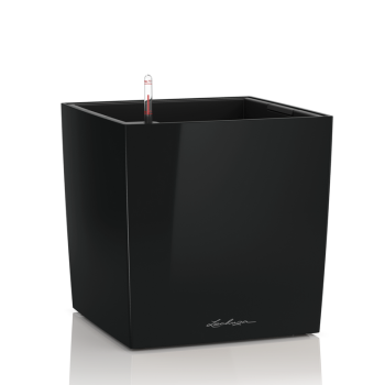 Lechuza Cube Premium černý