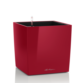 Lechuza Cube Premium scarlet