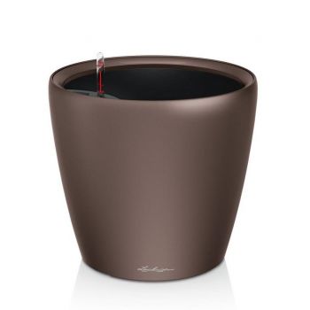 Lechuza Classico Premium espresso
