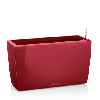Lechuza Cararo Premium scarlet komplet