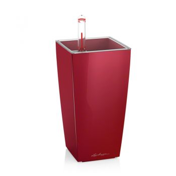 Lechuza Mini Cubi scarlet komplet