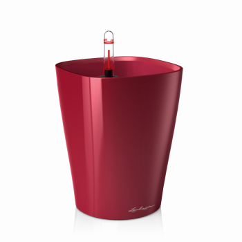 Lechuza Mini Deltini scarlet komplet