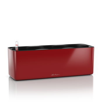 Lechuza Cube Glossy Triple scarlet komplet