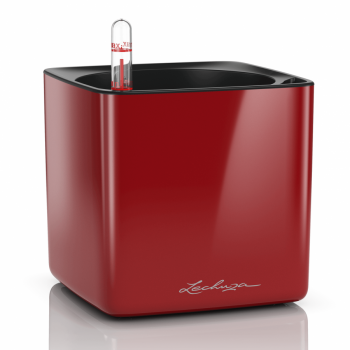 Lechuza Cube Glossy scarlet komplet