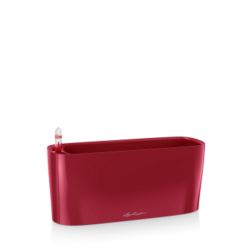 Lechuza Delta scarlet komplet