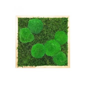 Mechový obraz z kopečkového mechu v kombinaci s plochým 40x40 cm tenký rám