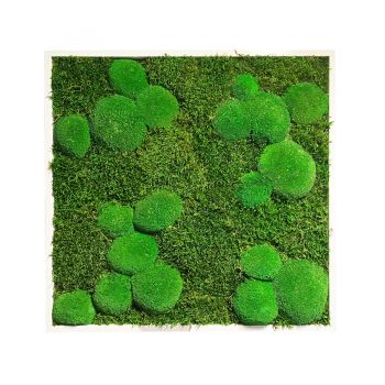 Mechový obraz z kopečkového mechu v kombinaci s plochým 50x50 cm tenký rám