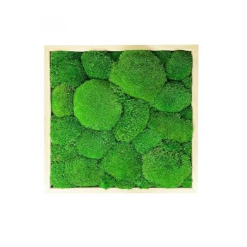 Mechový obraz z kopečkového mechu 40x40 cm tenký rám