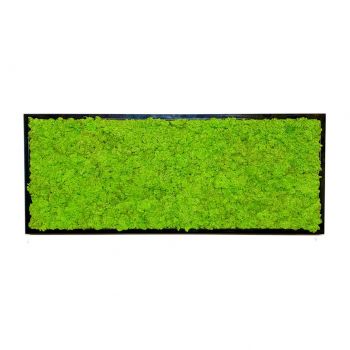 Mechový obraz lišejník - světlý 40x100 cm tenký rám