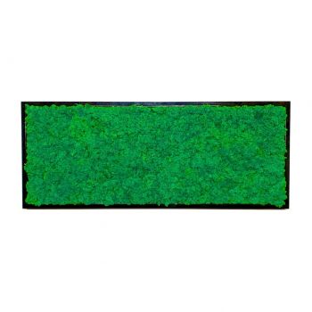Mechový obraz lišejník - tmavý  40x100 cm tenký rám