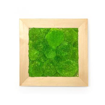 Mechový obraz kopečkový 50x50 cm