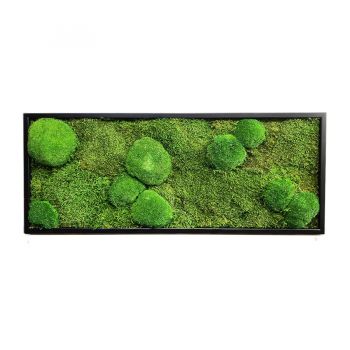 Mechový obraz z kopečkového mechu v kombinaci s plochým 40x100 cm tenký rám