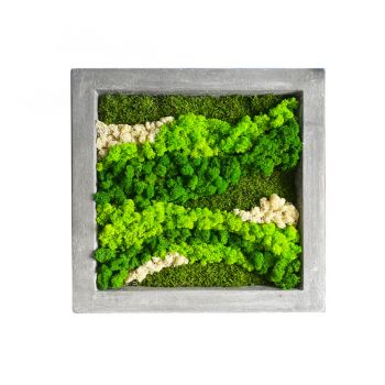 Mechový obraz LANDSCAPE - 50x50 cm v šedém rámu polystone
