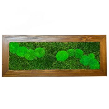 Mechový obraz z kopečkového mechu v kombinaci s plochým 50x125 cm