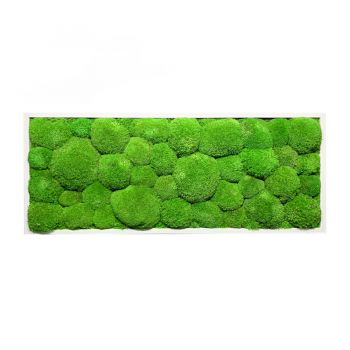 Obraz z kopečkového mechu 40x100 cm tenký rám