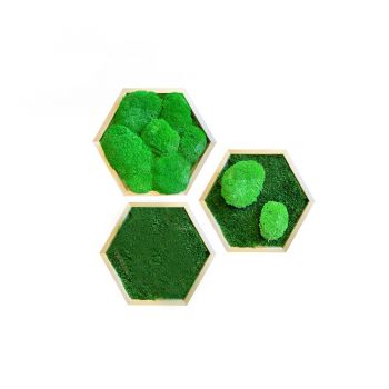 Mechový obraz hexagon mix - set 3 ks
