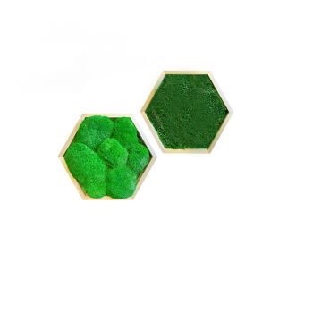Mechový obraz hexagon mix - set 2 ks