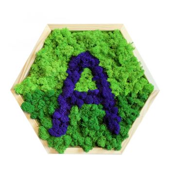 Mechový obraz LOGO z lišejníku na míru