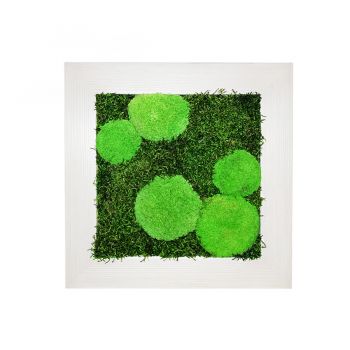 Mechový obraz z kopečkového mechu v kombinaci s plochým 50x50 cm