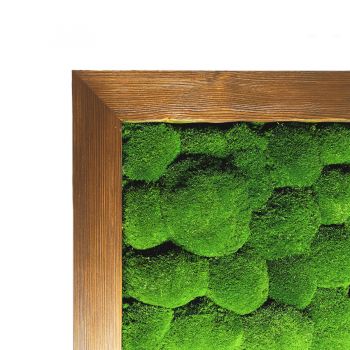 Mechový obraz kopečkový 50x125 cm