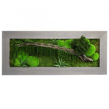 Obraz JUNGLE s rostlinami v kombinaci s mechem 50x125 cm